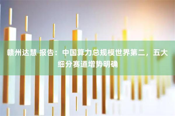 赣州达慧 报告：中国算力总规模世界第二，五大细分赛道增势明确