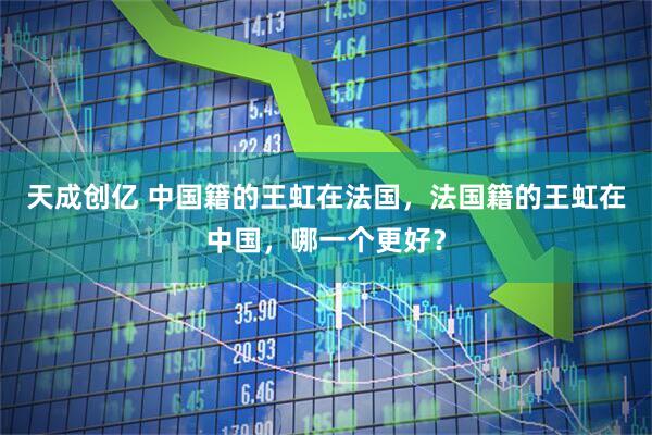 天成创亿 中国籍的王虹在法国，法国籍的王虹在中国，哪一个更好？